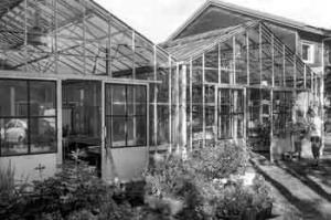 edibleculture